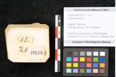 Foto (Objekt + Etikett) von Ledum palustre L. (NHMW-GEO-2024-0188-11616)